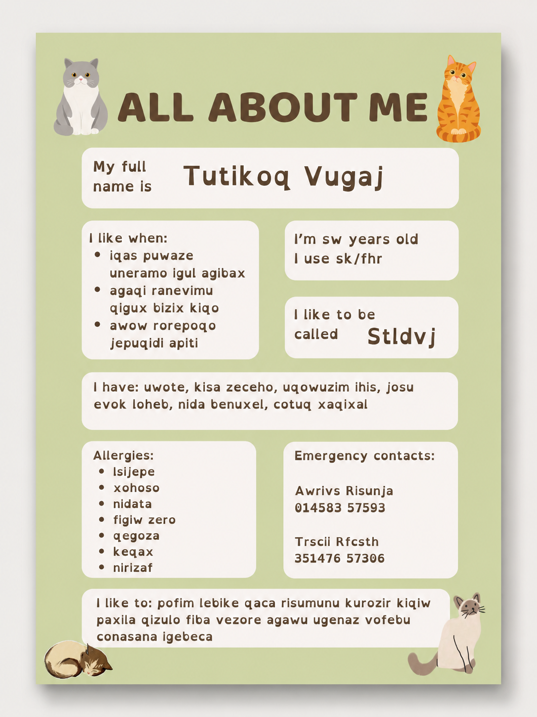 Printable Care Plan Template | Getting to Know Me | SEND, Autism, Adults and Children's Needs